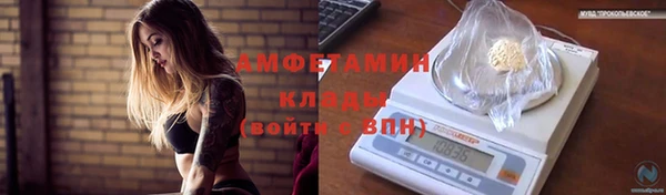 гидра Володарск