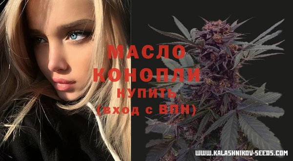 гидра Володарск